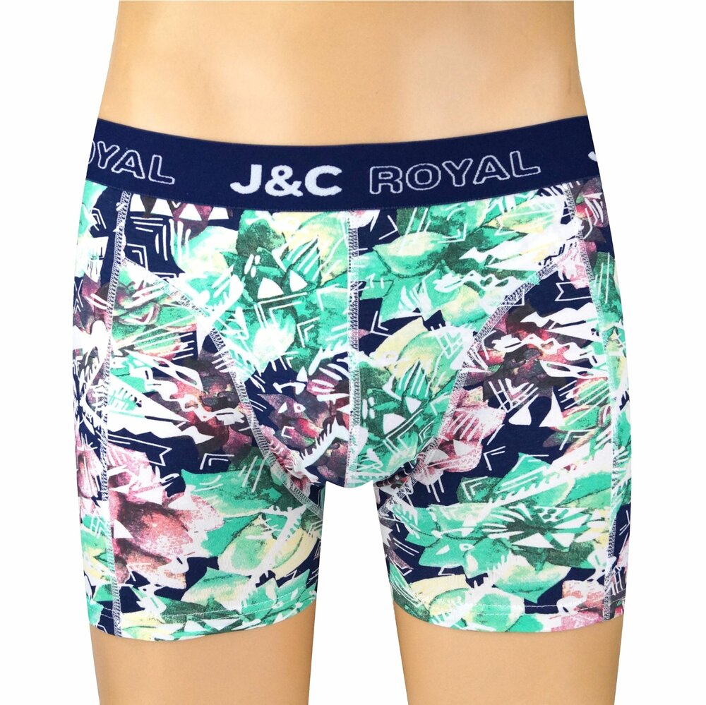 2-pack Heren Boxershorts H250 J&amp;C katoen geprint 