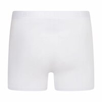 10-pack Heren boxershorts Dylan Wit 