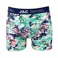 2-pack Heren Boxershorts H250 J&amp;C katoen geprint 