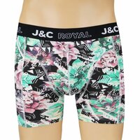 2-pack Heren Boxershorts H250 J&amp;C katoen geprint 